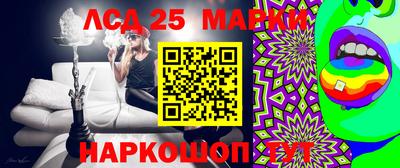 гидропоника Гатчина
