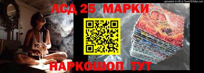 стафф Гай