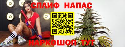 стафф Гай