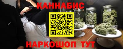 стафф Гай