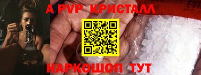 стафф Гай